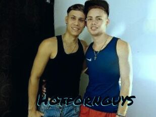 Hotpornguys