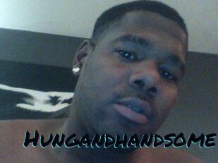 Hungandhandsome