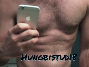 Hungbistud18