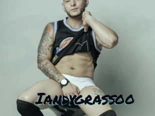 iandygrassoo Sexties