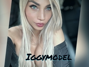 Iggymodel