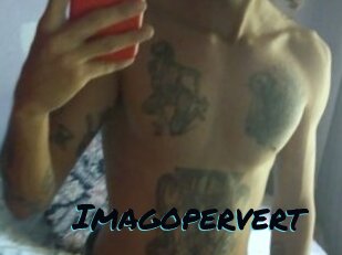 Imagopervert