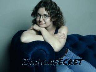 Indigosecret
