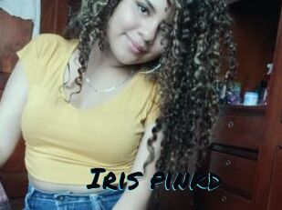 Iris_pinkd