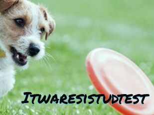 Itwaresistudtest