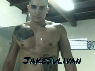 Jake_Sulivan
