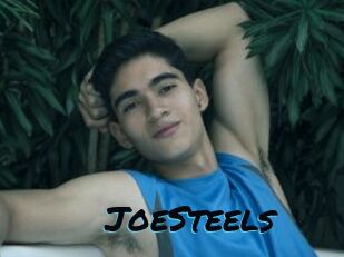 JoeSteels