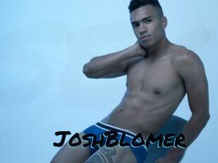 JoshBlomer