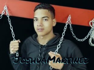 JoshuaMartinez