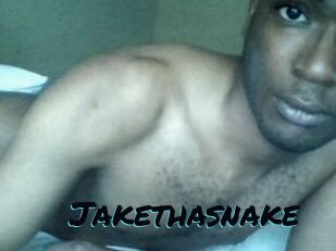 Jake_tha_snake