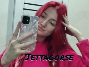Jettagorse