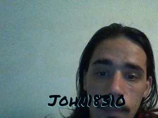 John18310