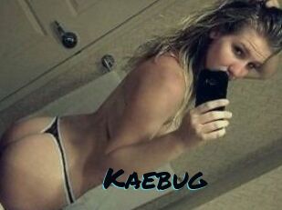 Kaebug