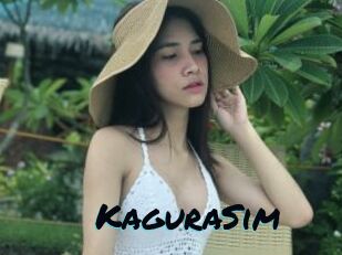 KaguraSim