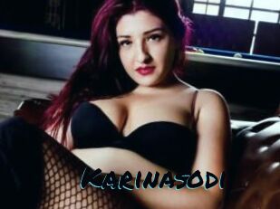 Karinasodi
