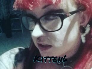 Kitten6