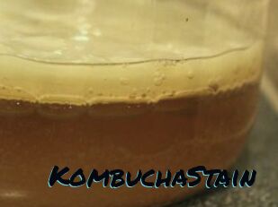 KombuchaStain