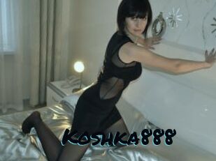 Koshka888