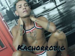 Kachorrobig
