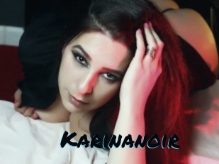 Karinanoir