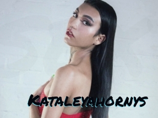 kataleyahornys Sexties