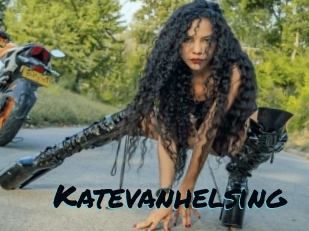 katevanhelsing Sexties