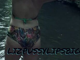 LIZPUSSYLIPSBIG