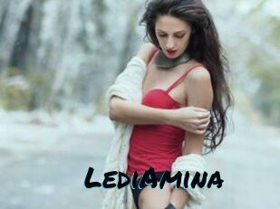 LediAmina