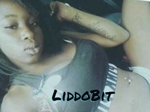 LiddoBit
