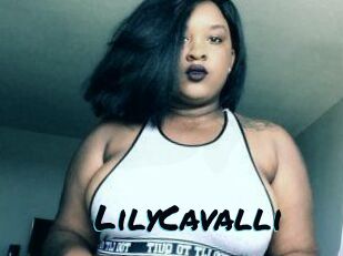 Lily_Cavalli