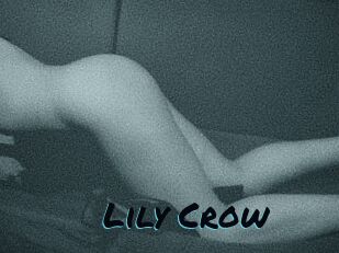 Lily_Crow