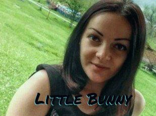 Little_Bunny_