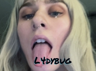 L4dybug