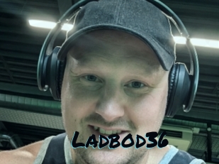 ladbod36 Sexties