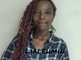 lialehmin Sexties