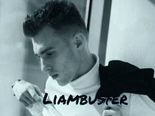 Liambuster