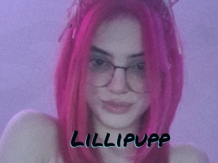 Lillipupp