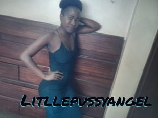 Litllepussyangel