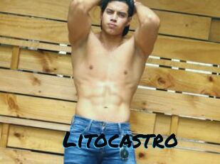 Litocastro