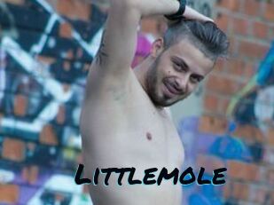Littlemole