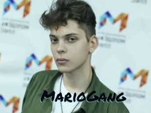 MarioGang