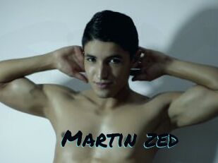 Martin_zed