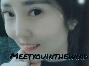 Meetyouinthewind