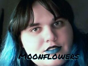 Moonflowers