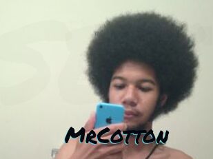 MrCotton