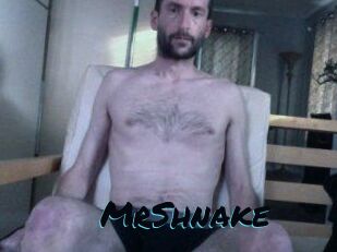 MrShnake