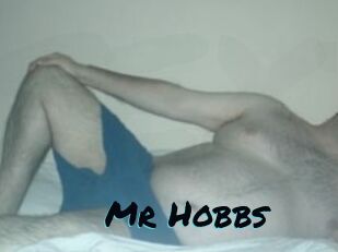 Mr_Hobbs