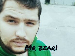 Mr_bear1