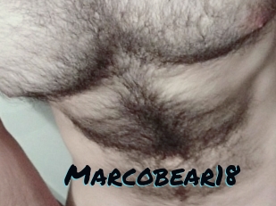 Marcobear18