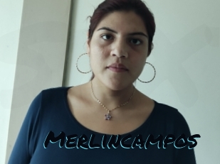 Merlincampos